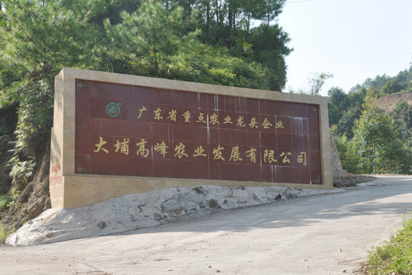 ґcףҸ߷r(nng)I(y)l(f)չ޹˾W(wng)վɹϾ(xin)